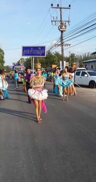   งานอนุรักษเต่าทะเลประจำปี 2558
